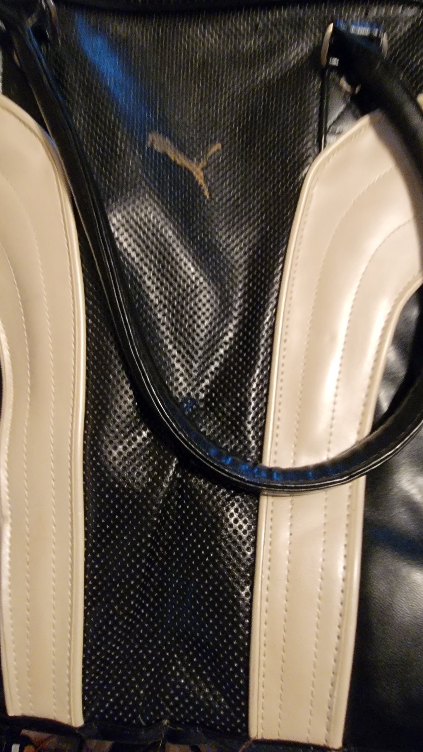11.06.22-Puma Bag